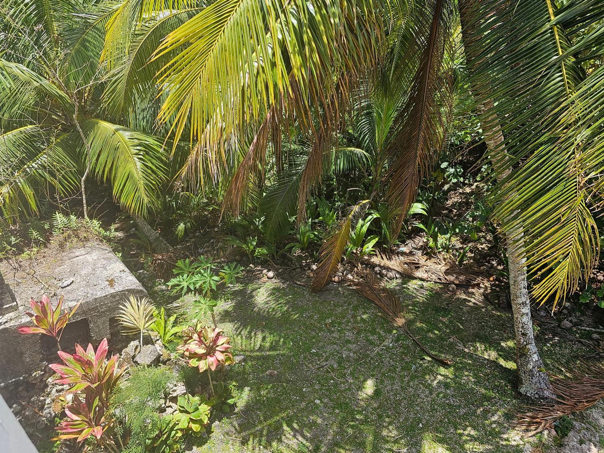 Villa Heleni Jessop'S Fatahega Alofi Exterior foto